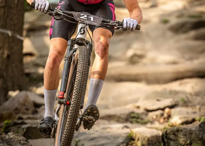 Albergue The Tower Sportshostel Sittard